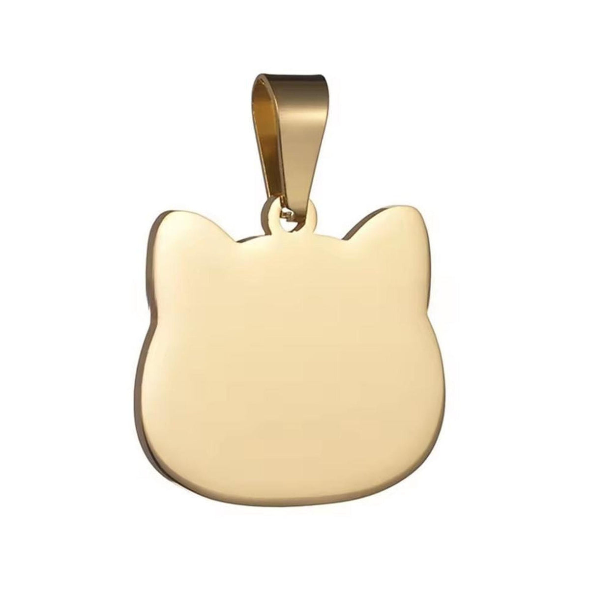 Médaille de Chat Personnalisée en Acier, Gravure de Nom avec Quatre Couleurs Disponibles