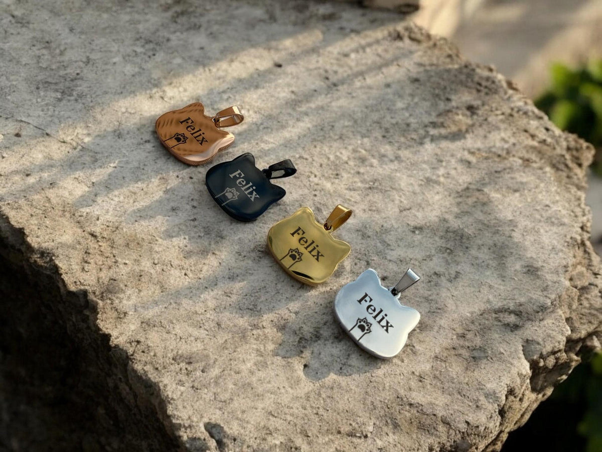 Médaille de Chat Personnalisée en Acier, Gravure de Nom avec Quatre Couleurs Disponibles